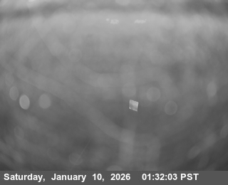 SR-299: Lord Ellis - East