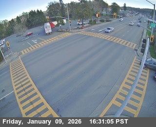 SR20: Holly St (Willits)