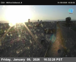 (C321) WB 8 : Dogwood_B